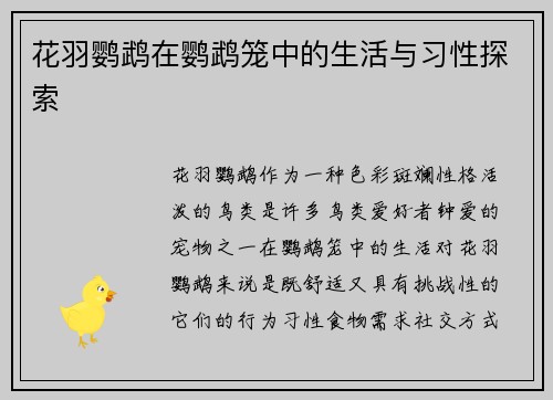 花羽鹦鹉在鹦鹉笼中的生活与习性探索